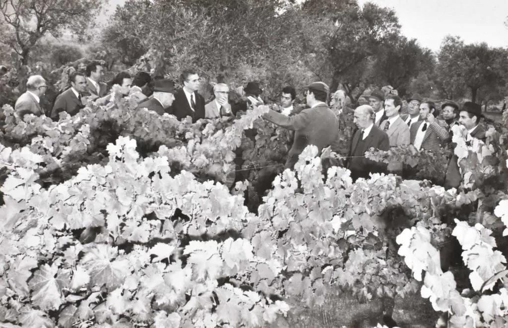 old_photo-2-historia-1024x661