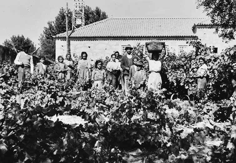 svj-vintage_0000_svj-4